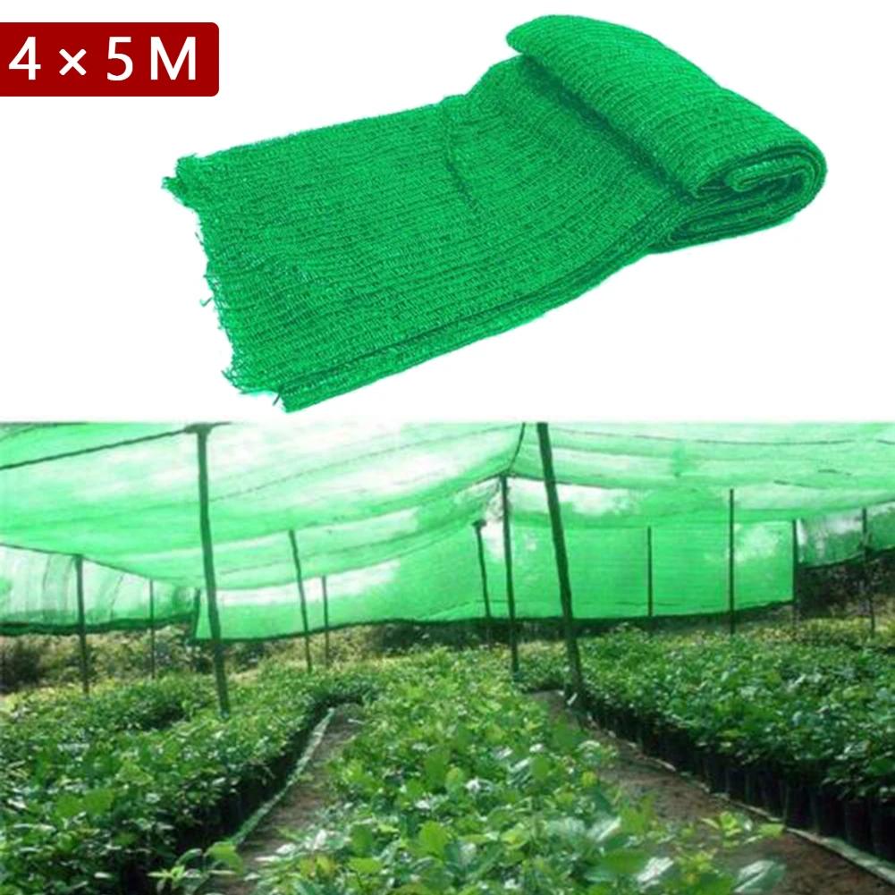 4*5M 2    ׹ Ǽ  Ŀ  ׹ ȯ  ׹  ׹